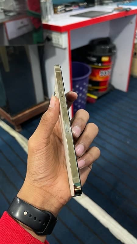 Iphone 12 Pro Max (Gold) 4