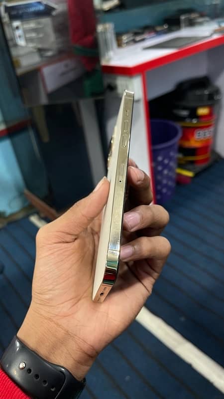 Iphone 12 Pro Max (Gold) 6