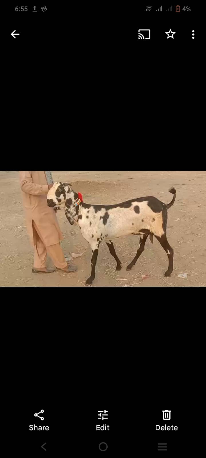 Bakri for sale 5