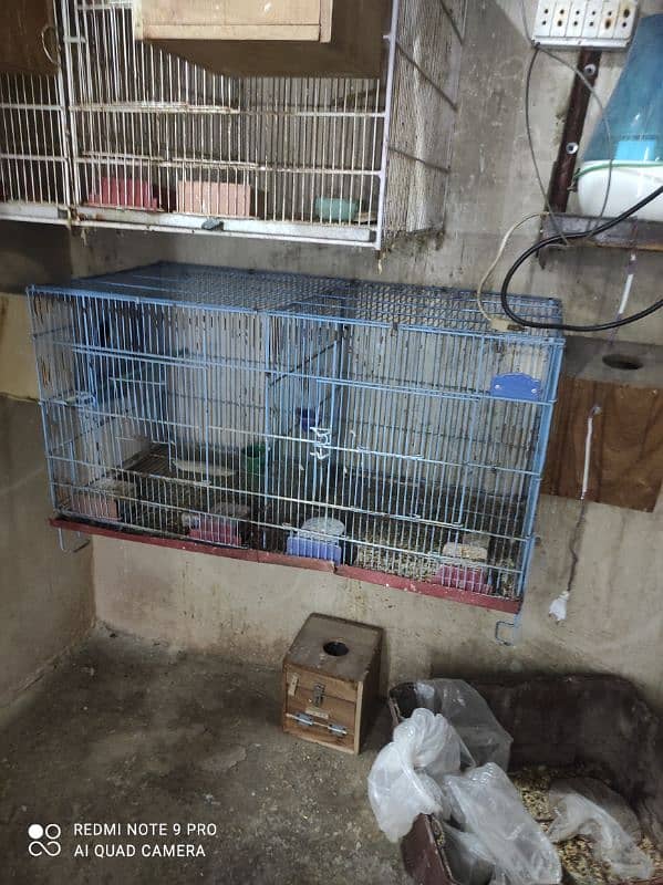 cages Available used buhat achi condition men 2