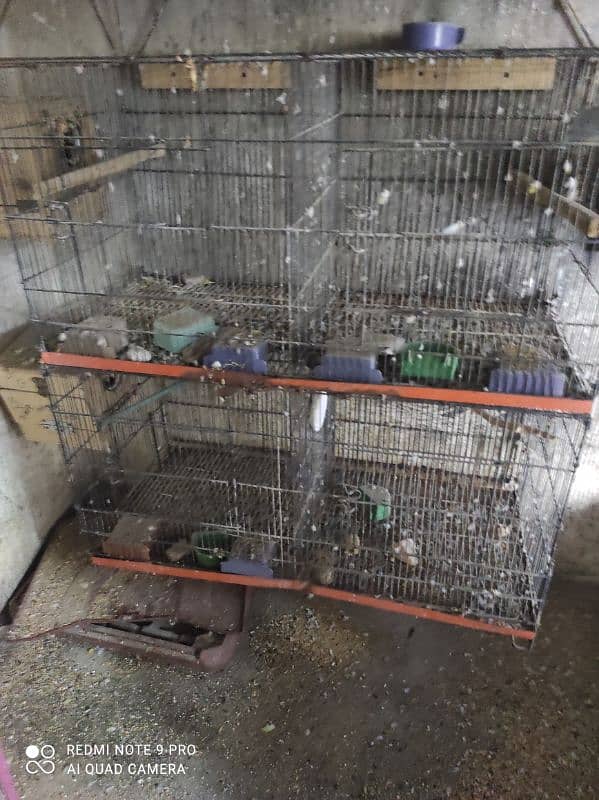 cages Available used buhat achi condition men 3