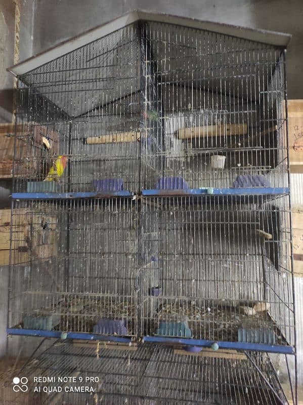 cages Available used buhat achi condition men 4