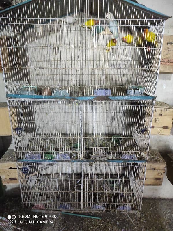 cages Available used buhat achi condition men 5