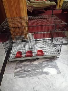 New Cage