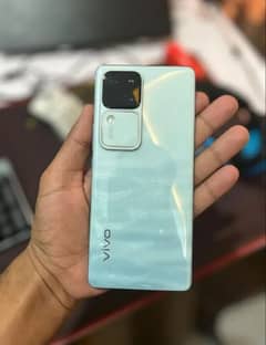 vivo