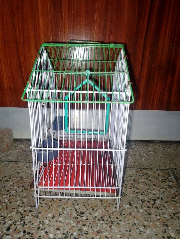 Birds cage 1