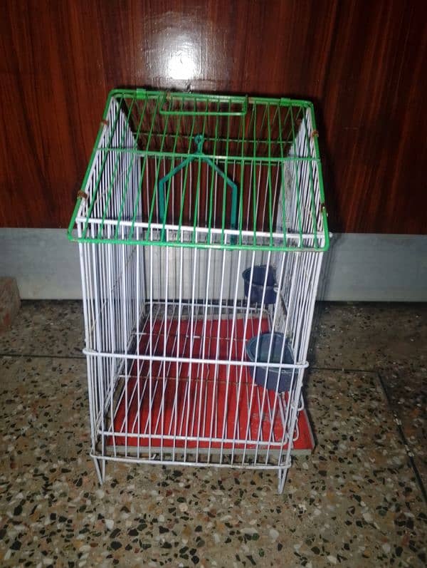 Birds cage 3