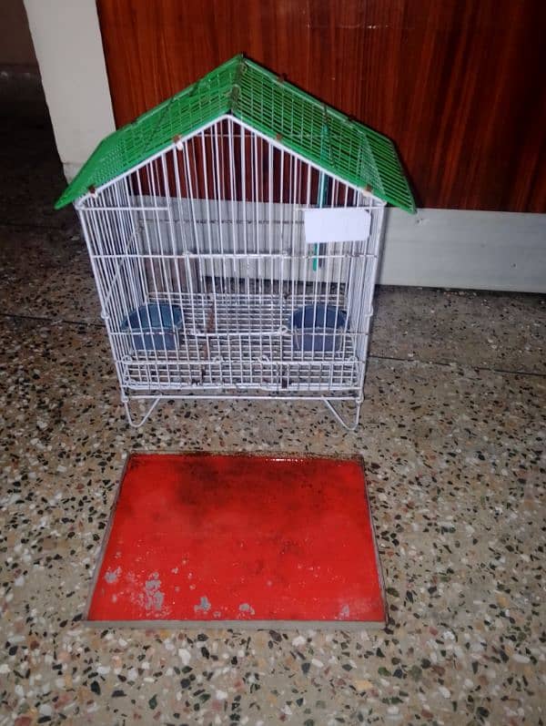 Birds cage 4