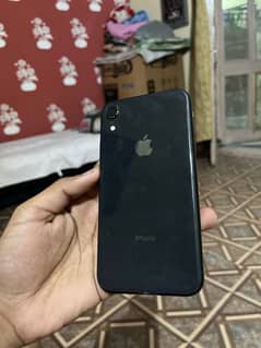 iPhone XR