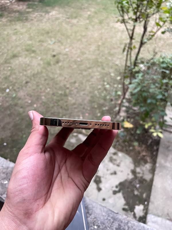 Iphone 12 Pro Max 128gb Pta Approved 2