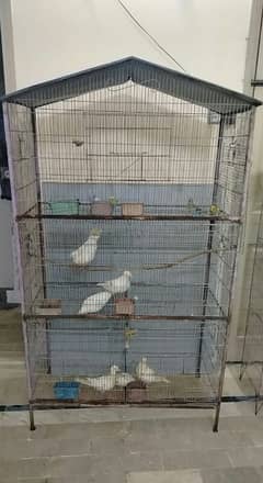 2 cages available