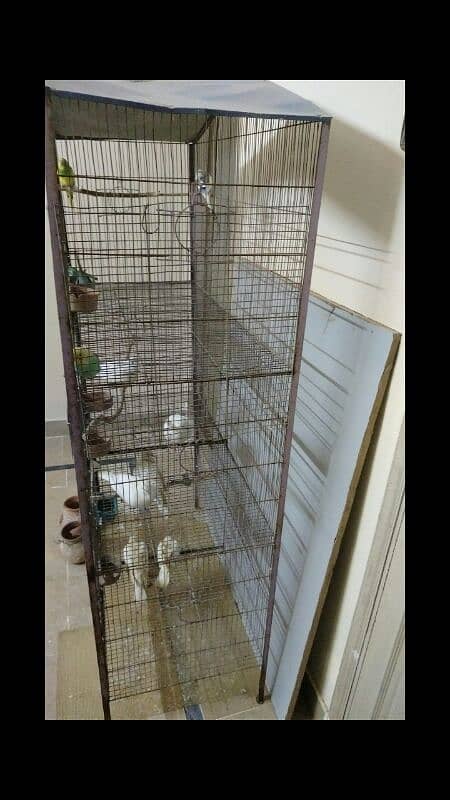 2 cages available 1