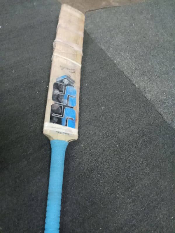 Selling a Cricket Bat 2