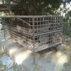 chicken cage