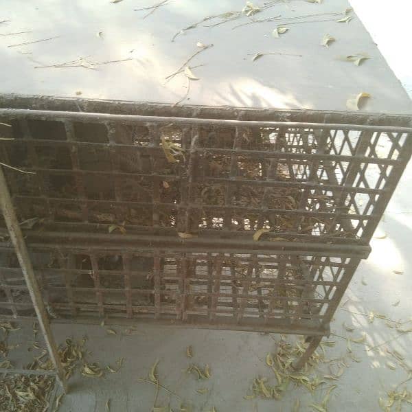 chicken cage 1