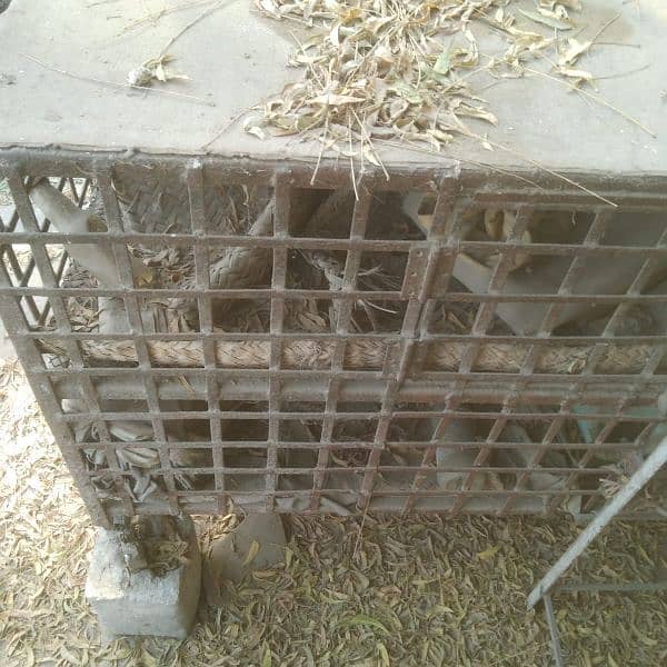 chicken cage 3