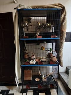 large size cage