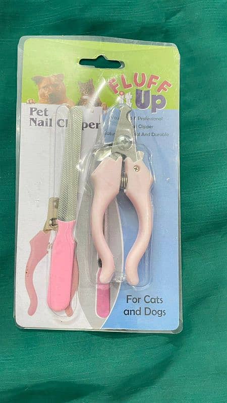 Cat Accessories 3