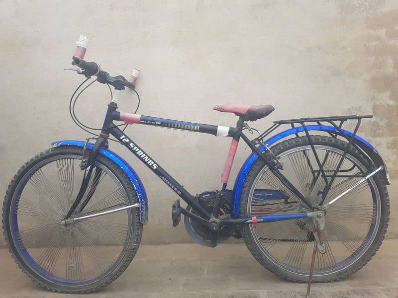 Road Bicycle Two Seater 1