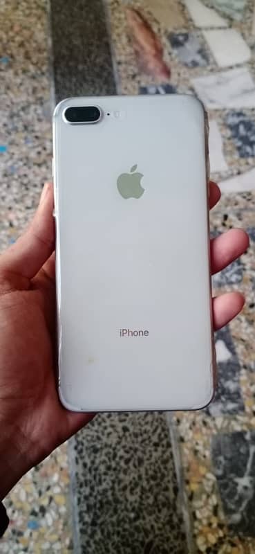 8 plus 256 0