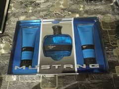 Mustang Ford Gift Set Import from USA