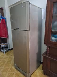 Refrigerator (PEL) Excellent condition, never repaired.