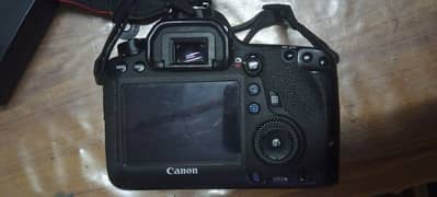 canon 6D with 24.70 tamron vc