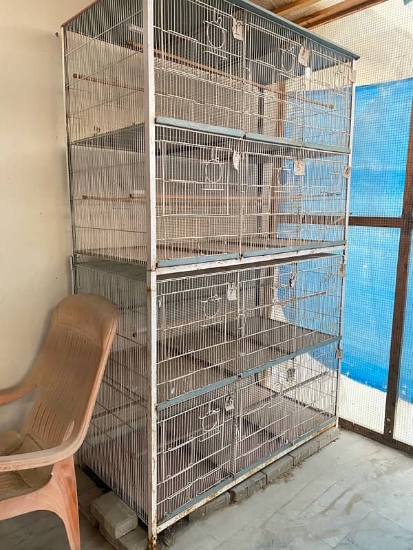 all birds and lovebirds cages available 0