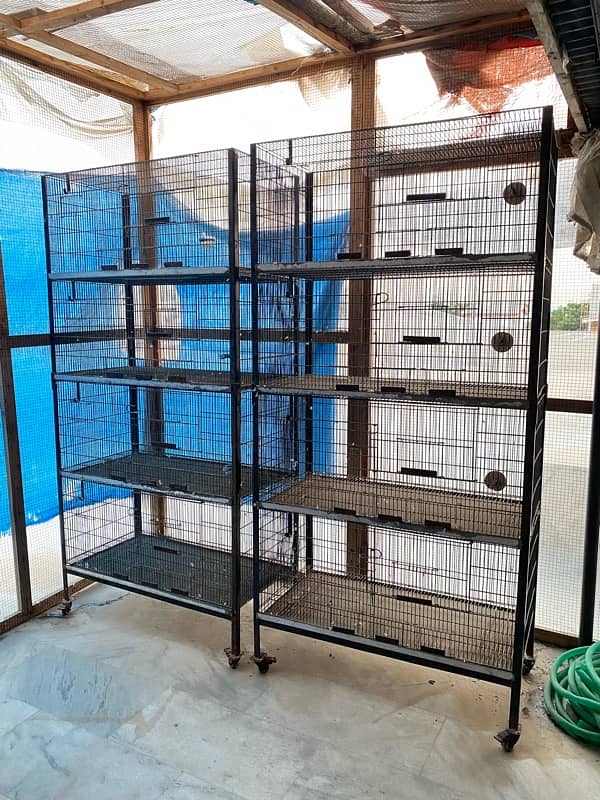 all birds and lovebirds cages available 1