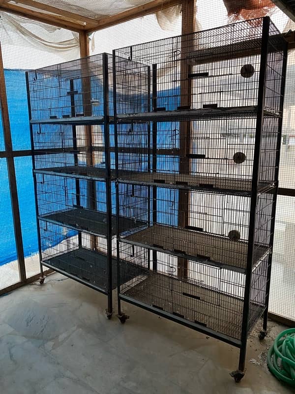 all birds and lovebirds cages available 2