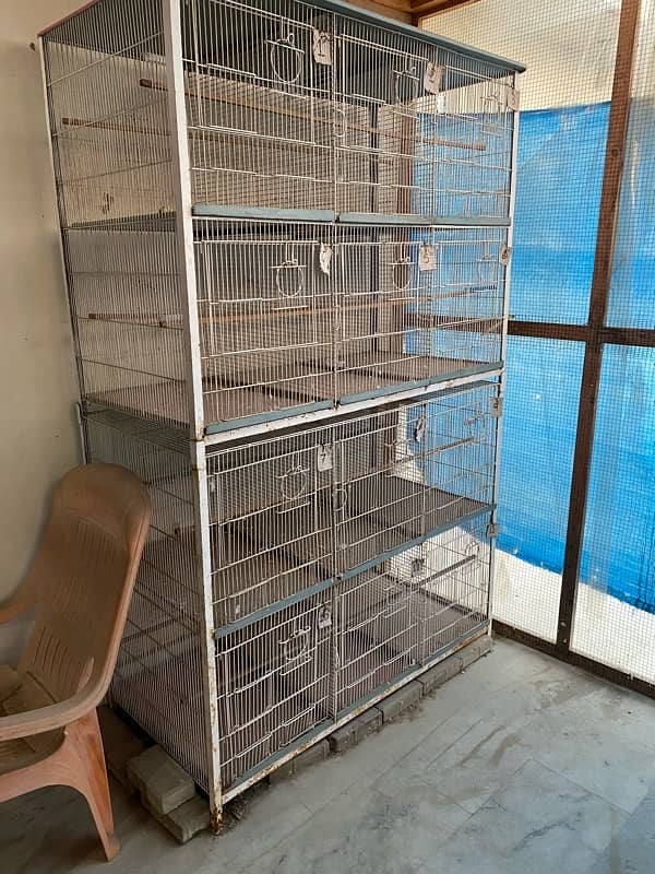 all birds and lovebirds cages available 3