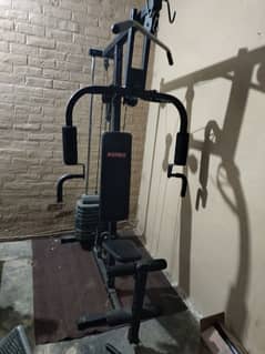 home gym - multi pulley