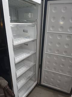 Almost New - Pel Vertical Freezer