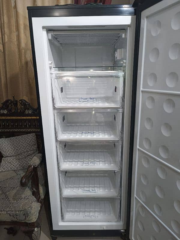 Pel Vertical Freezer(almost new) 2