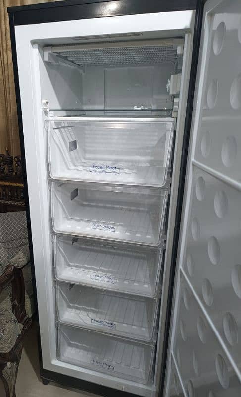 Pel Vertical Freezer(almost new) 4