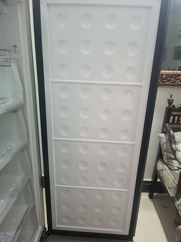 Pel Vertical Freezer(almost new) 1