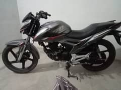 United 150cc 2024 Lush