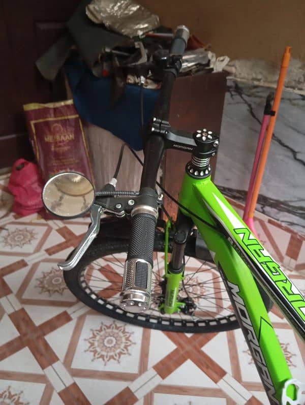 Morgan MTB bicycle 5