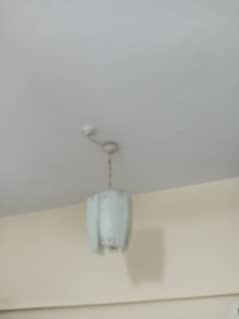 Ceiling hanging light pair