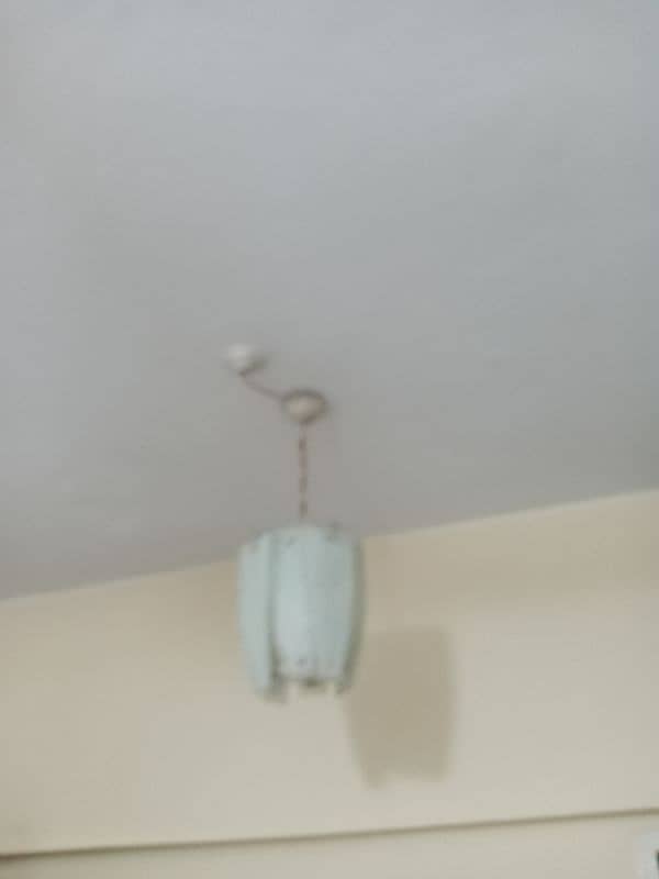 Ceiling hanging light pair 0