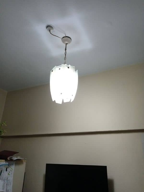 Ceiling hanging light pair 2