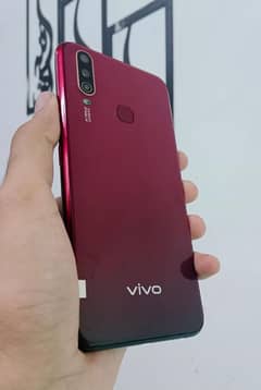 vivo