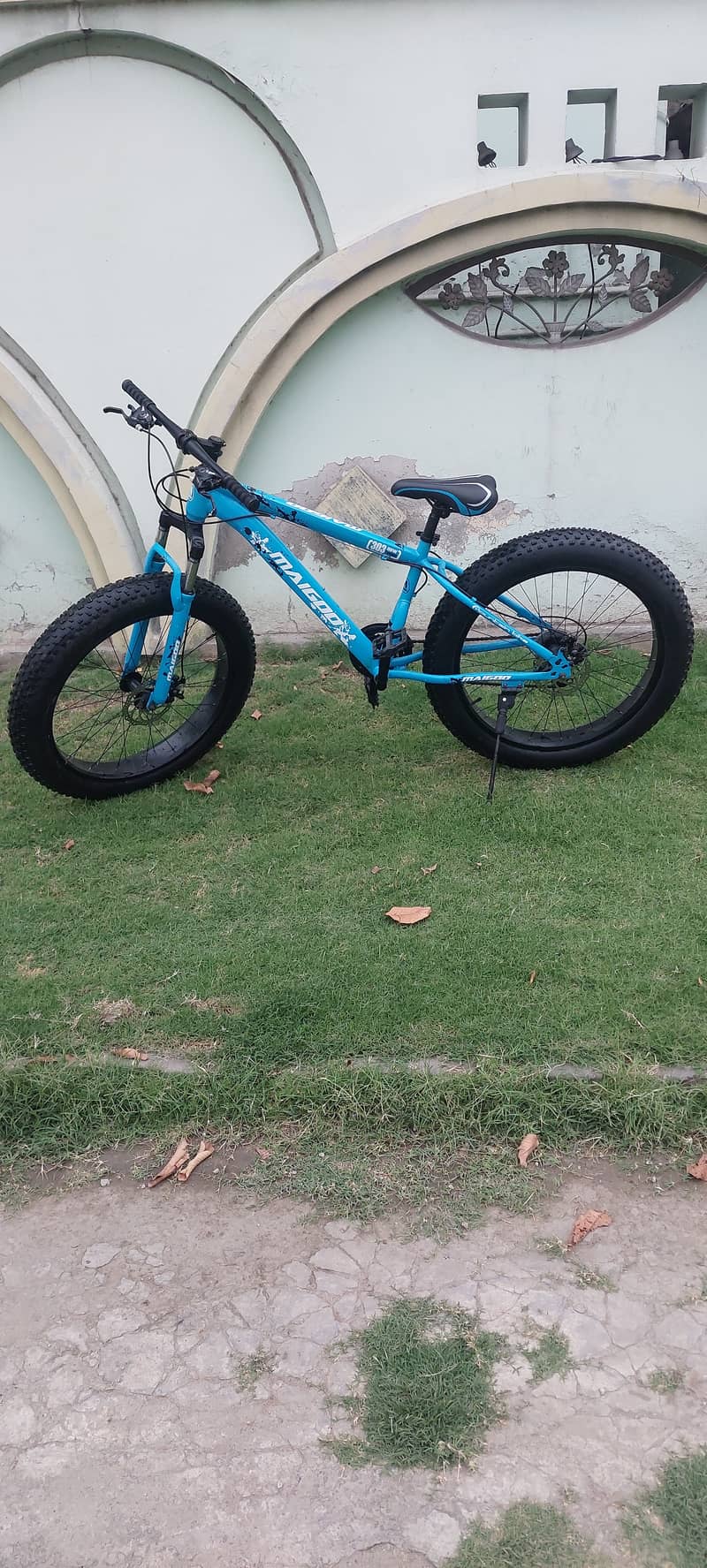 FAT BIKE 0