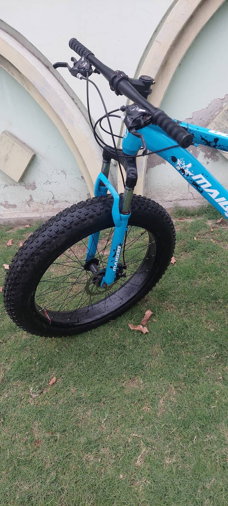 FAT BIKE 3