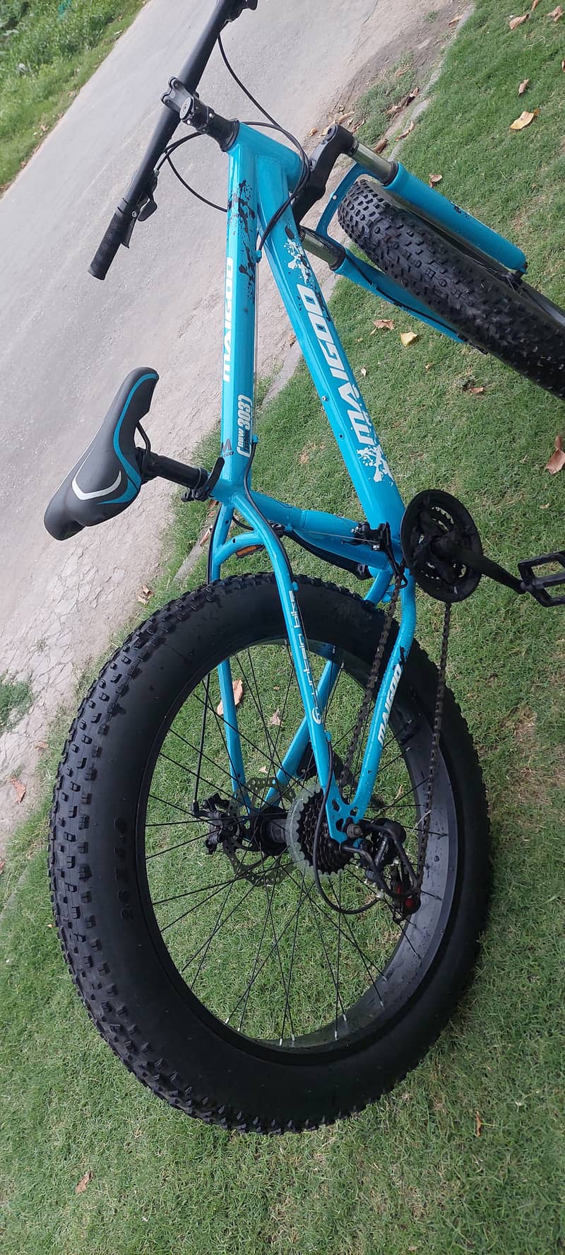 FAT BIKE 6