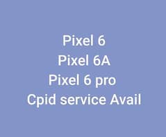 Google Pixel 6 series