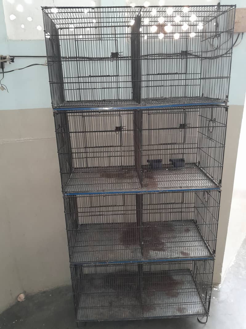 Foldable BIRD CAGE 3