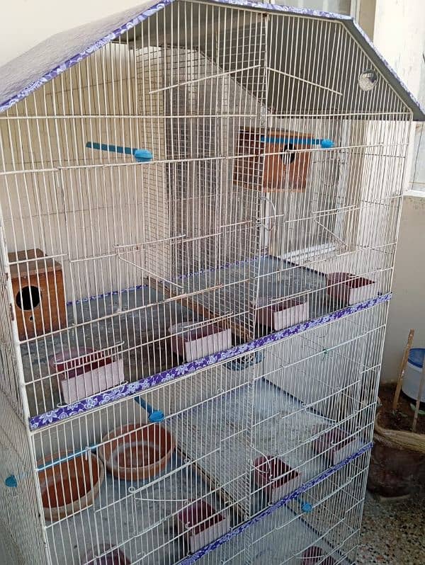 Birds 6 portion cage 1