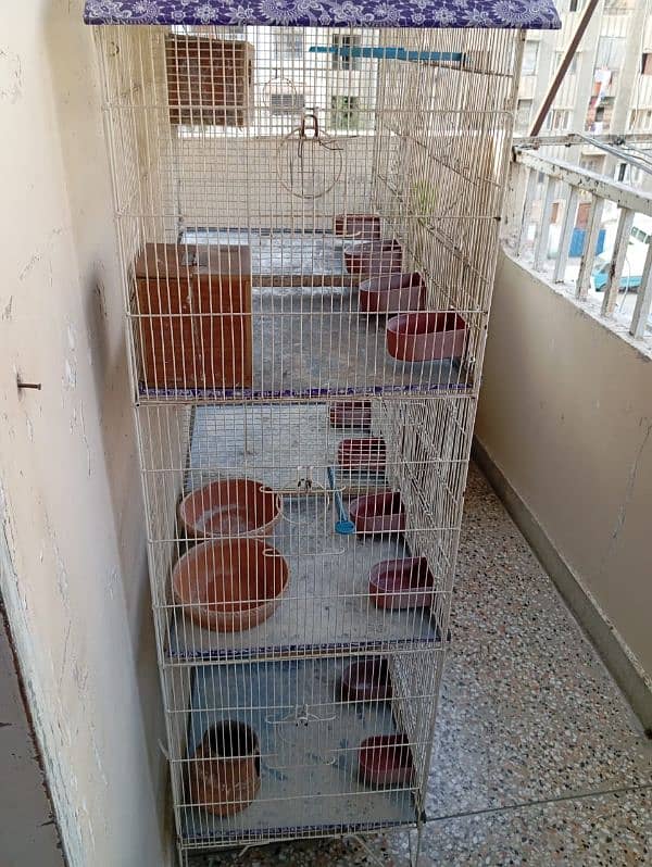 Birds 6 portion cage 3