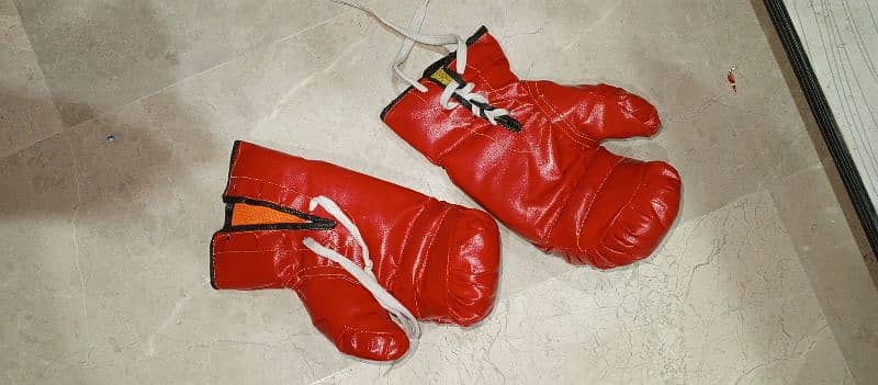 Boxing bag and gloves. 2